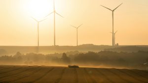 Auteur/autrice de l’image